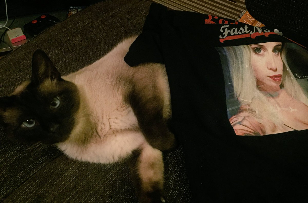fitch_lady's tweet photo. Blu π― #FastnFitchious Mascot ... https://t.co/Q7P5WWkb4d