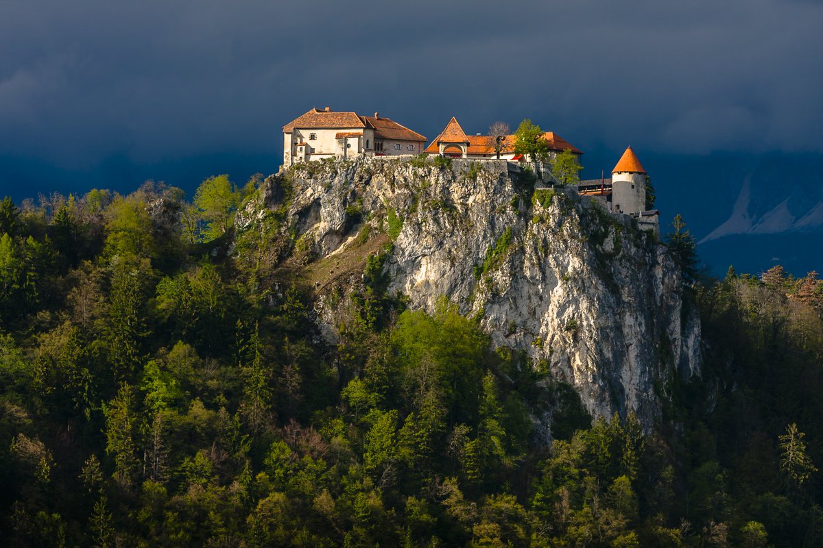 Bled Castle tweet media