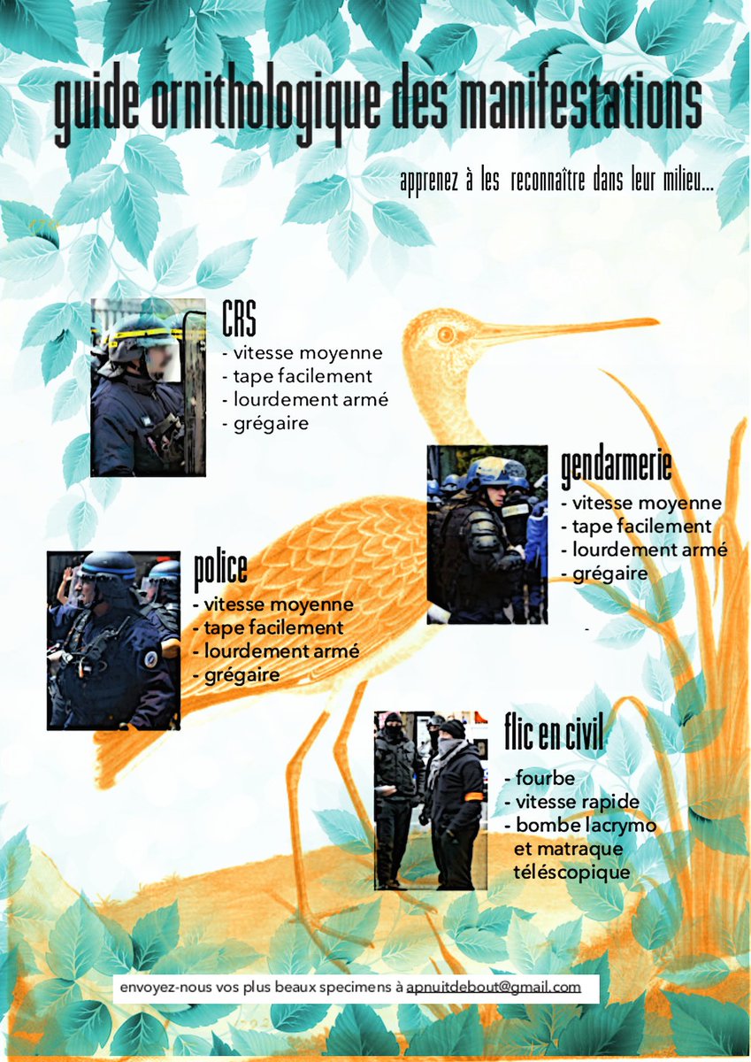 nuitdebout's tweet photo. Petit guide illustré des oiseaux que vous trouverez sur le parcours #BastilleBastille cet aprem.
#NuitDebout https://t.co/7SNMoMjL36