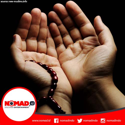 NOMAD Indonesia tweet media