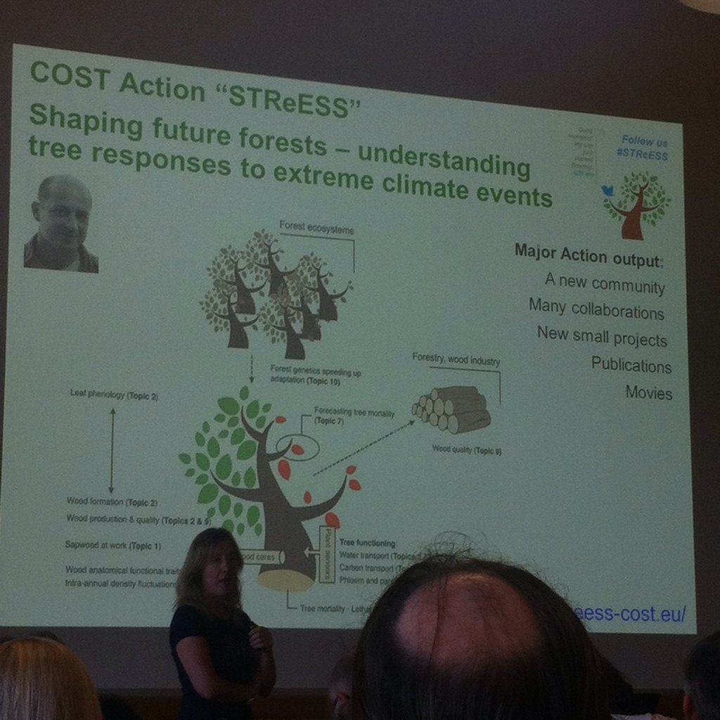Ed_henrio's tweet photo. @COSTSTReESS at 6th landscape dynamics science day #STReSS https://t.co/zrSYw7LgVz