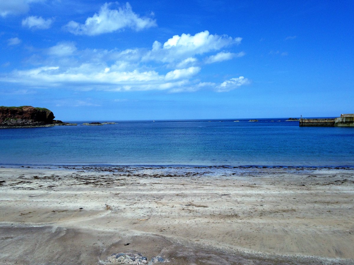 border_lets tweet picture