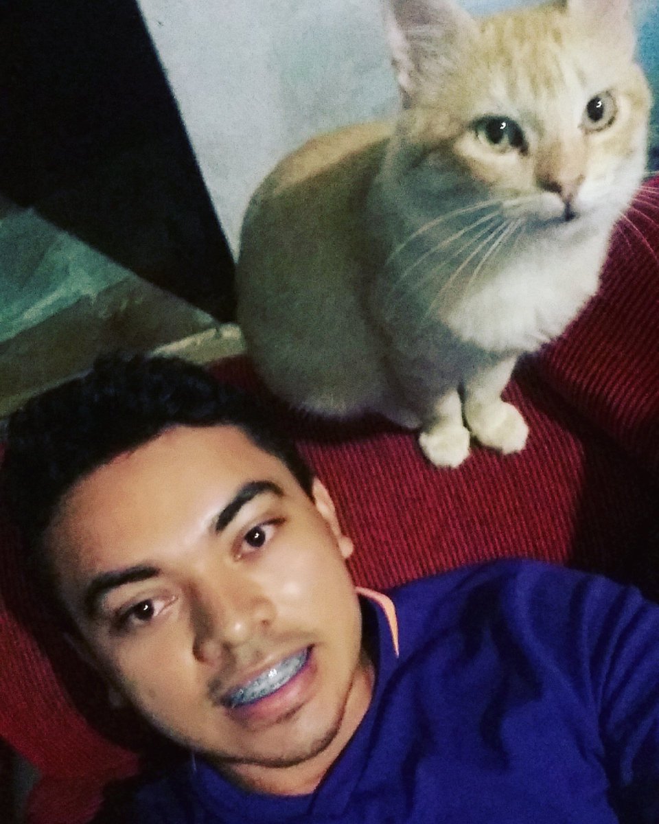 ronaltry  #TIMBETA (@ronaltrysilva) on Twitter photo 