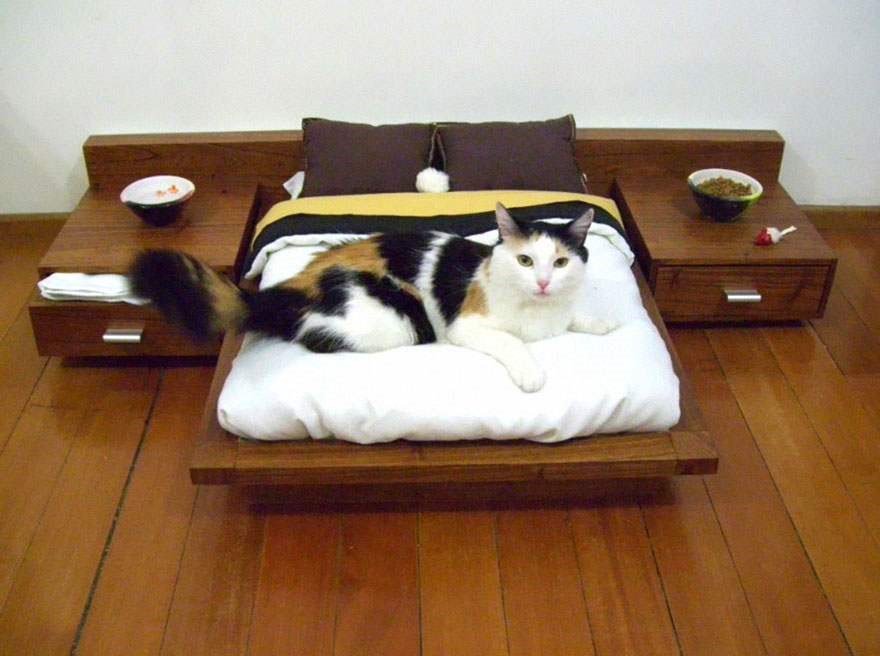 KittyCatWeb's tweet image. And you thought your cat was spoiled ;-)