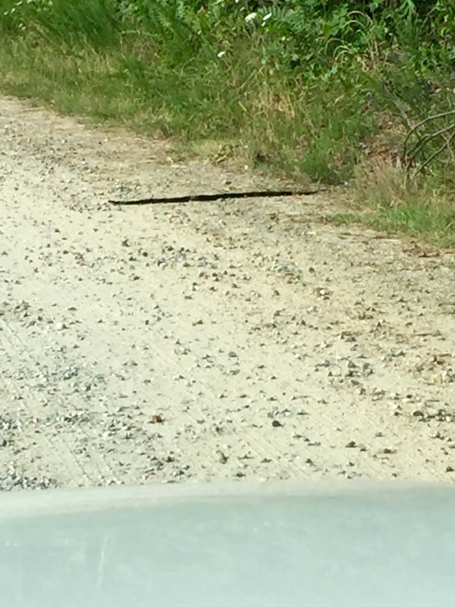 tammymrice's tweet photo. My day started off with smelling smoke at home. Then ran into this at my parents. #NotMyDay #GoingBack2Bed https://t.co/jc2O2pOTPs