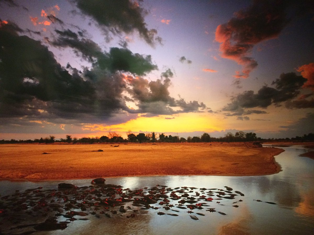 What a great shot this is!! #Happiness