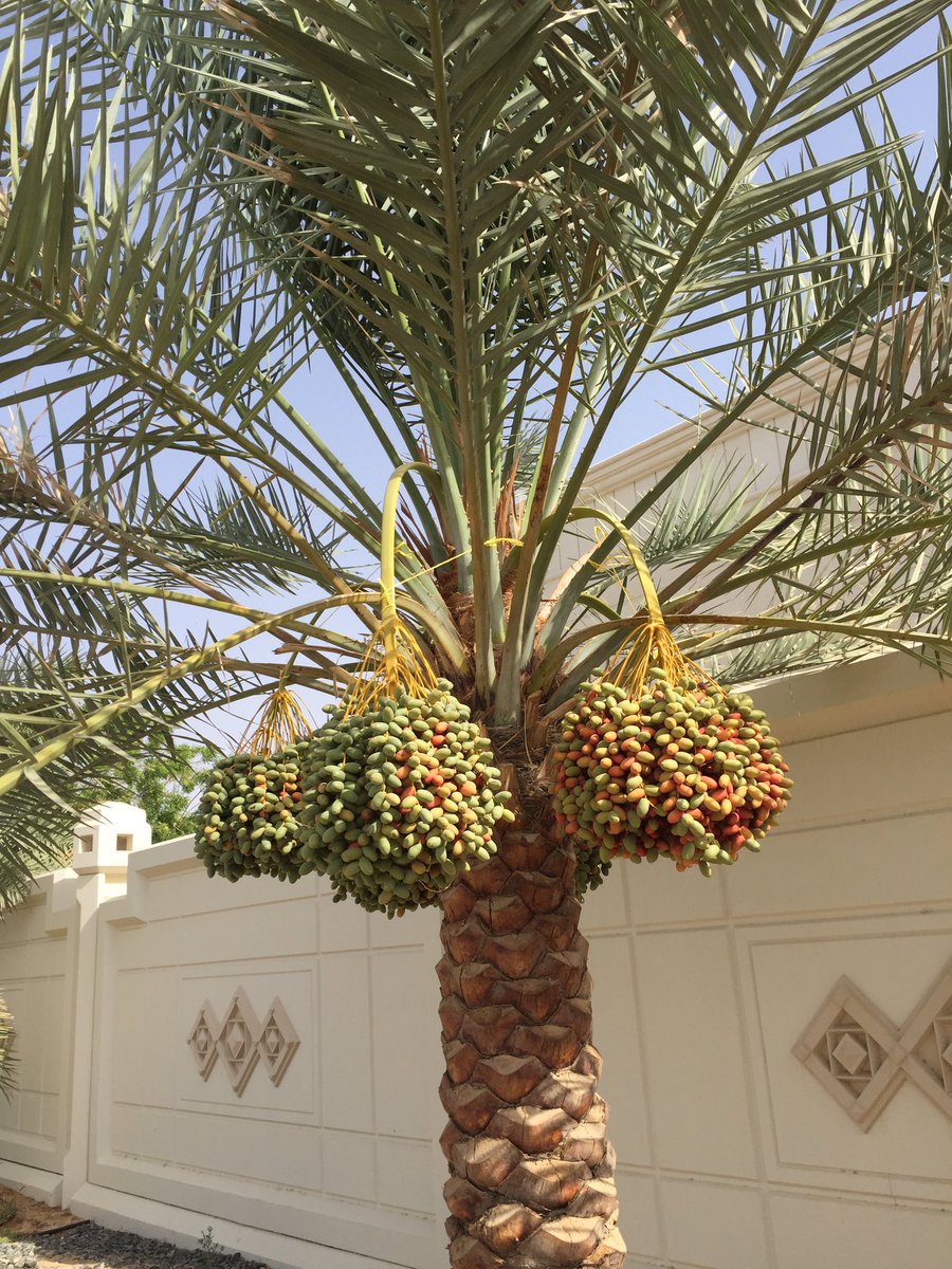 hellcfvv's tweet image. 