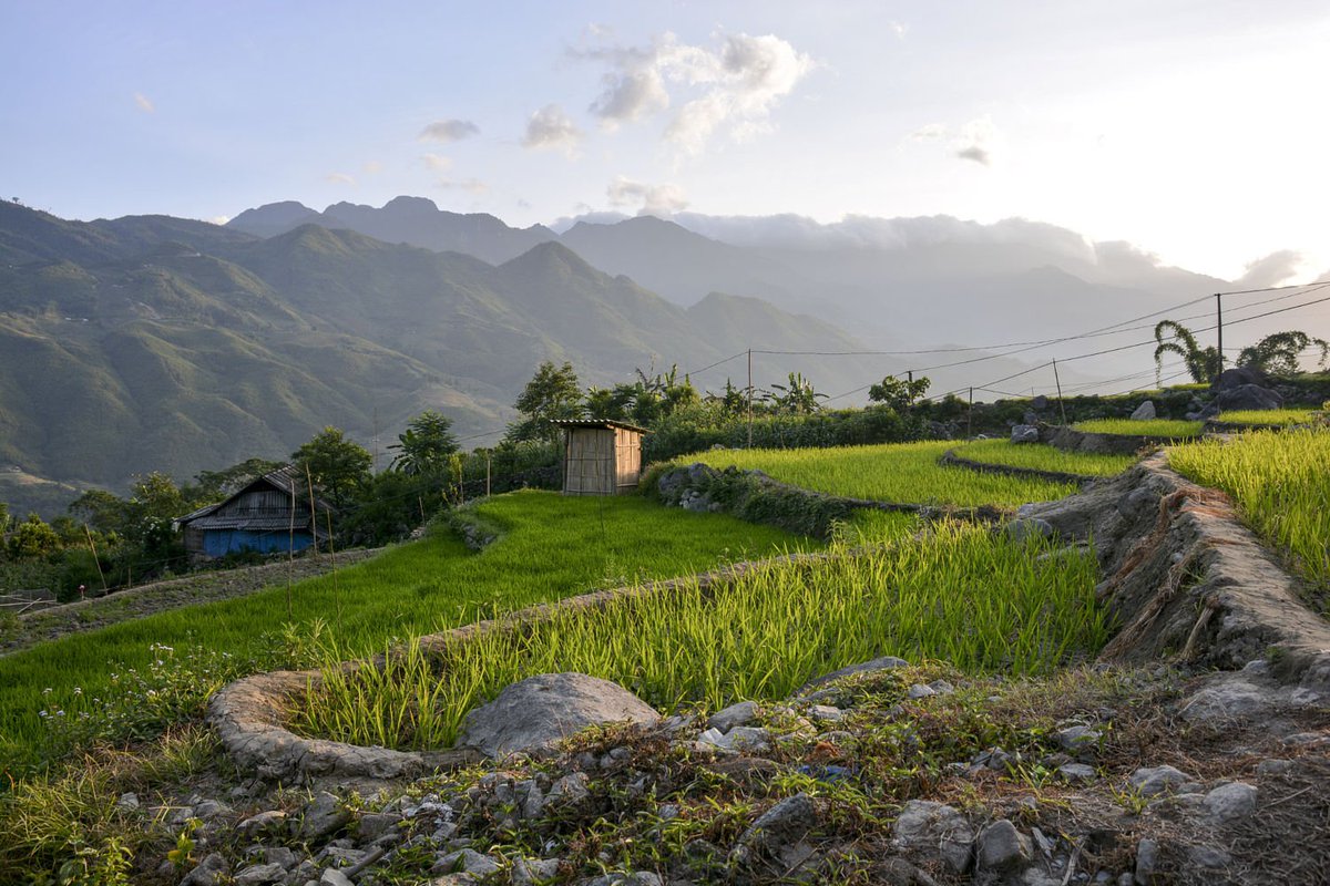 Cheflovesfish5's tweet photo. Get lost in magic Sapa views? Have you ever been lost in these views? https://t.co/9Vy4DTpQgM