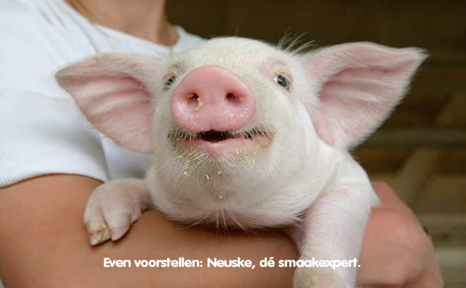 DimCoppen's tweet photo. In een hokje geplaatst, maar 'out of the box' bedacht. Nieuw #blog over #merkpositionering: https://t.co/dELNcW4Bzk https://t.co/4lsXRF1R02