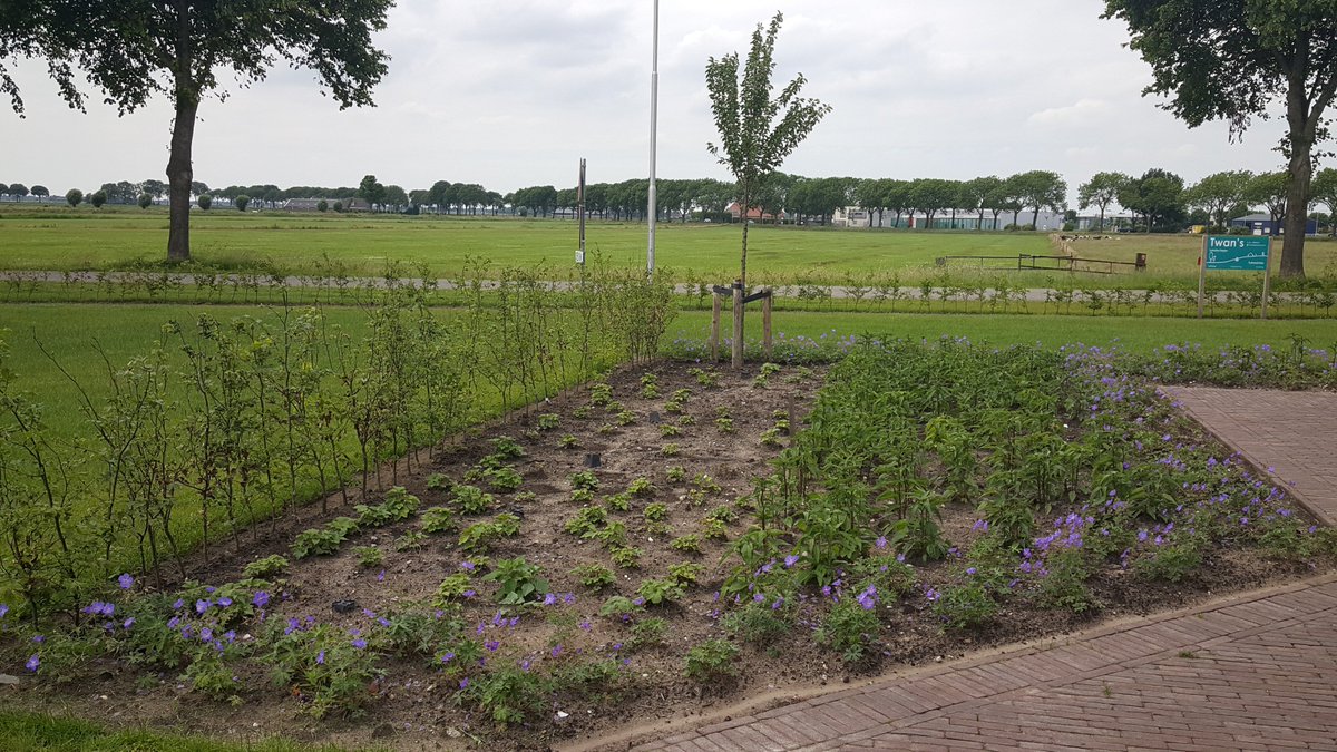 Tuinontwerp 'Modern Landhuis'. Woning en tuin zijn verlengstuk van elkaar. De lijnen worden steeds beter zichtbaar!