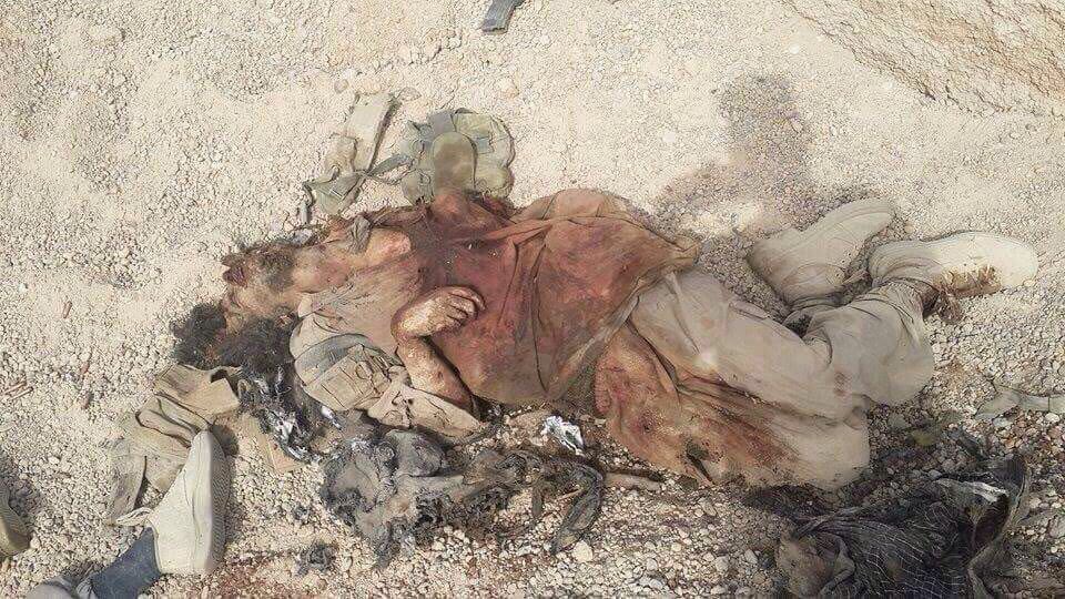 krmkrm's tweet photo. سؤال؟..
اذا نشرنا صور قتلى الدواعش بالفلوجة هل سيتم غلق صفحتي مرة ثانية ؟..
المهم اني نشرت..

 #رساله_عراقيه_للعرب https://t.co/Mf4q1BglBs