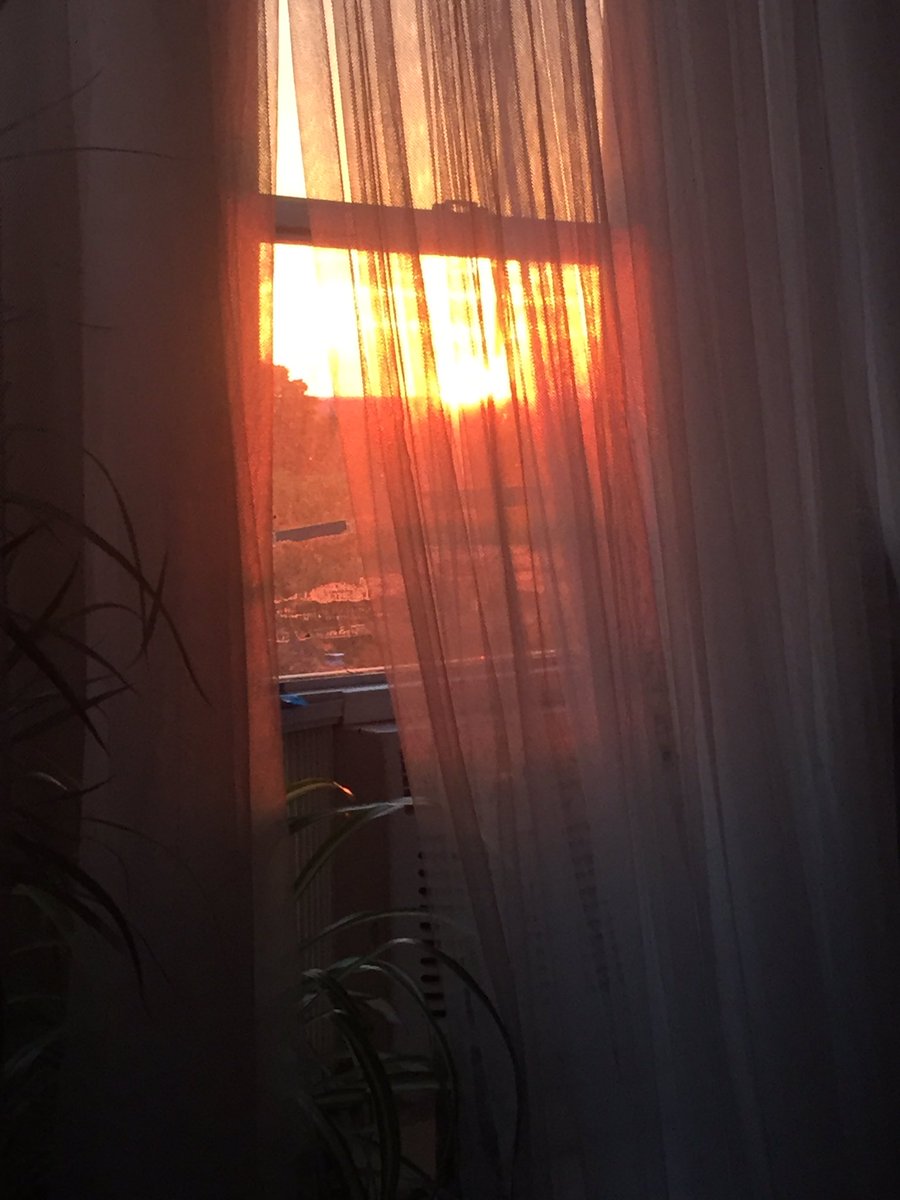 vaseanalysis's tweet image. Sunrise moments!