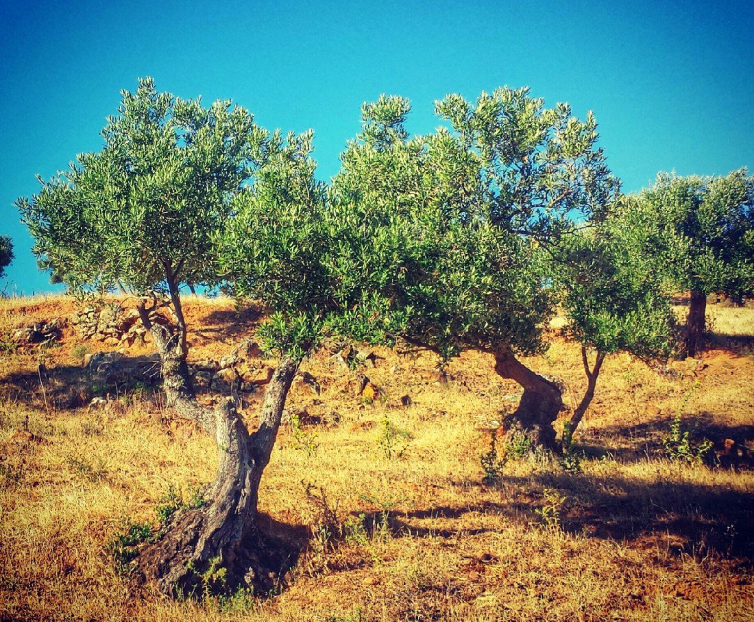 When in #Spain you MUST visit #Andalucia. Here is how to do so on a minimal budget! buff.ly/28Okv6g 
#travel