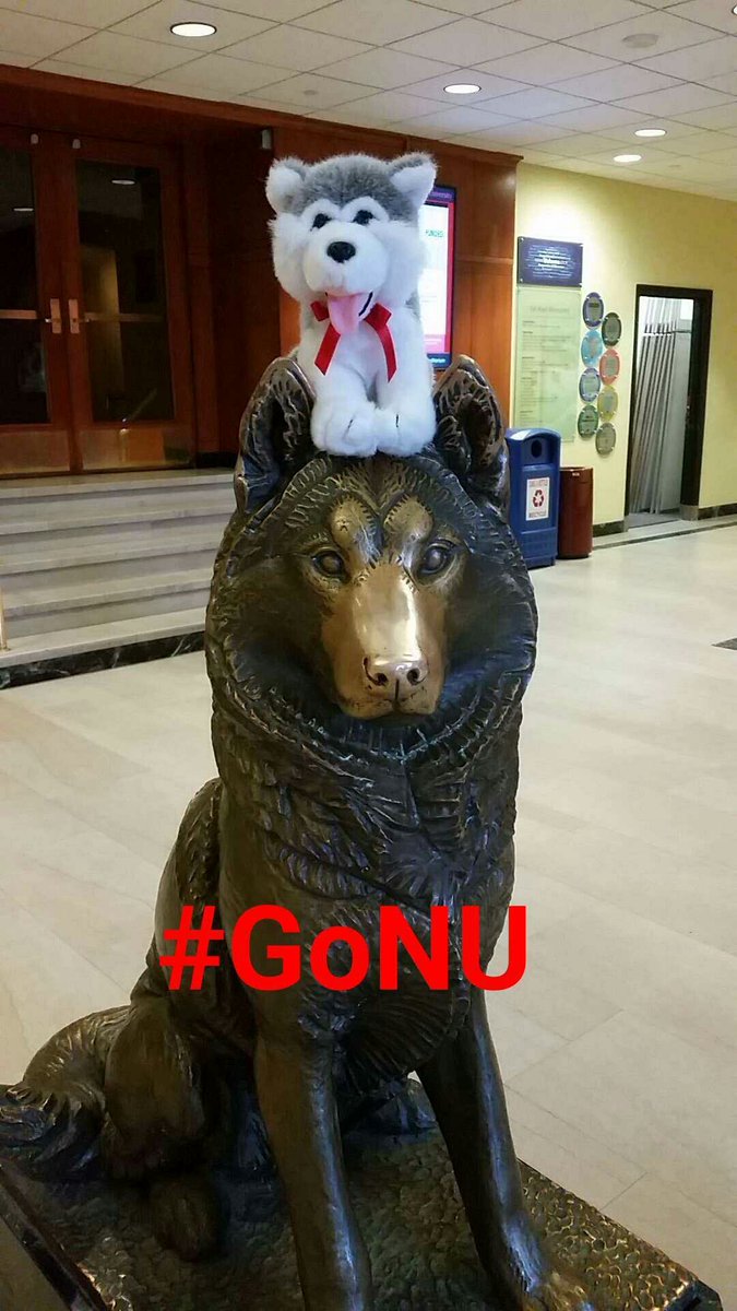 Take one last look <a href="/NUStudentLife/">NU Student Life</a> take over the OIB snapchat from Centennial Commons: snapchat.com/add/onlyinbos