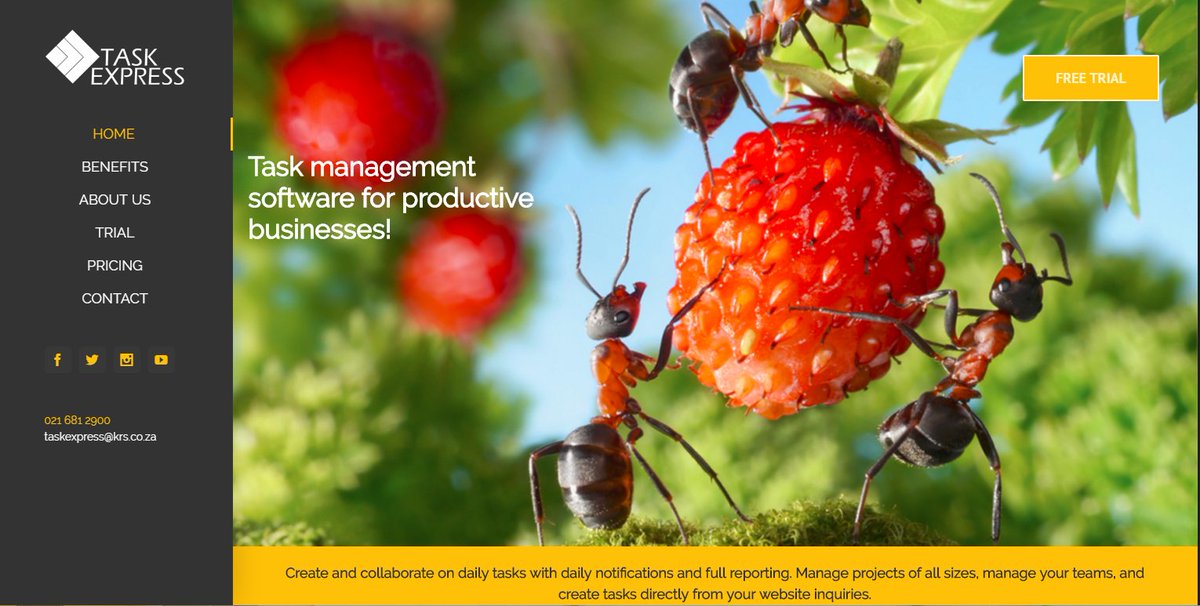 task_express's tweet photo. What do you think of our new website - Ants are the worlds greatest task management team. Let us know your thoughts. https://t.co/xObVdVeNVj