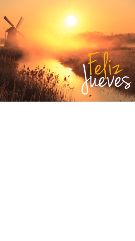 Uniformeciencia's tweet photo. #FelizJueves #diaproductivo Un dia para vestir de ciencia https://t.co/c6JvUg2Vme