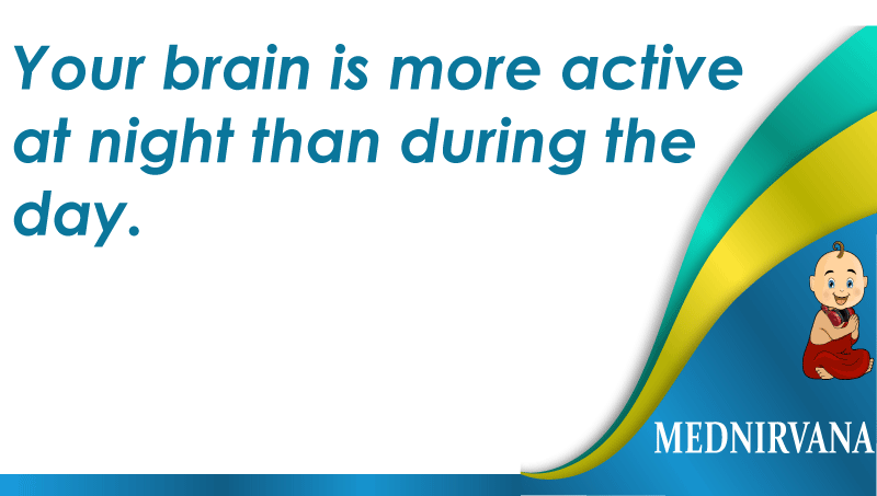 MedNirvana's tweet photo. Fun Fact on Brain
Download our app from Google playstore
#SearchDoctors #Healthapp #Emergencyapp https://t.co/o4qCYkVYld