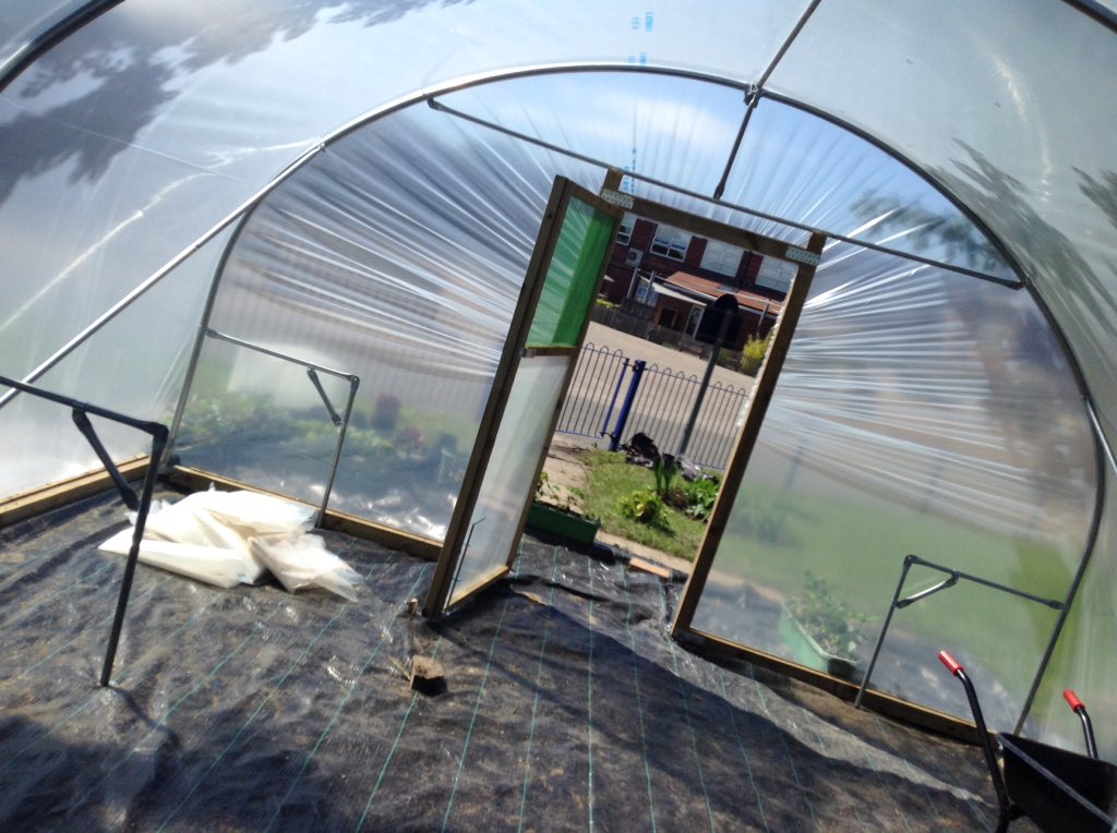 Mosspits Allotment tweet media