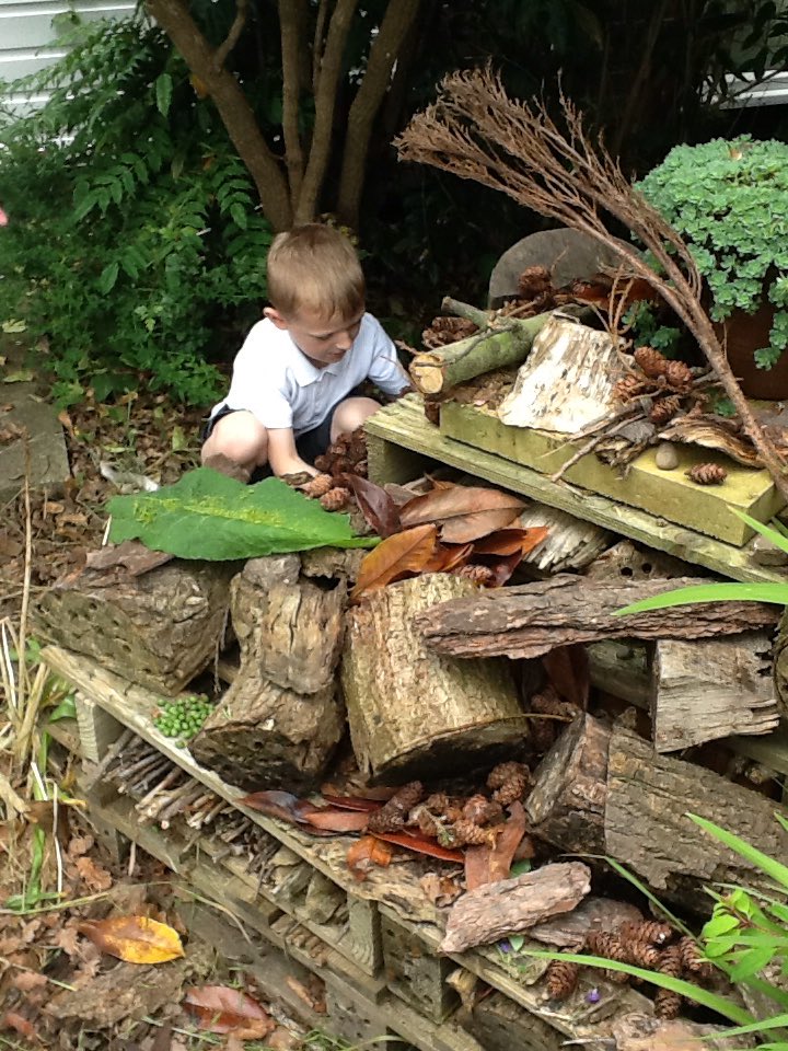 KNoon36's tweet photo. Nature club improving the Battyeford bug hotel! @Battyeford https://t.co/TLxTihdpD9