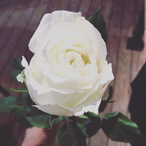 ALPHAside's tweet photo. For you special one @AudyRinald https://t.co/ss1eot1ZgV
