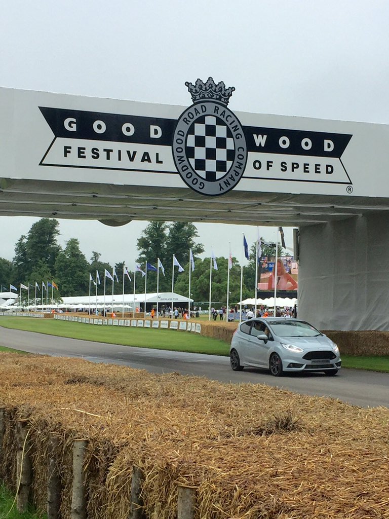 PaulSwiftStunts's tweet photo. Appropriately coloured Fiesta (Storm Grey) #ST200 tackles the hill course at #GoodwoodFOS #fos https://t.co/tPFbJ9aQMP
