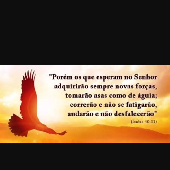 Fran Tim beta (@francalve10) on Twitter photo 