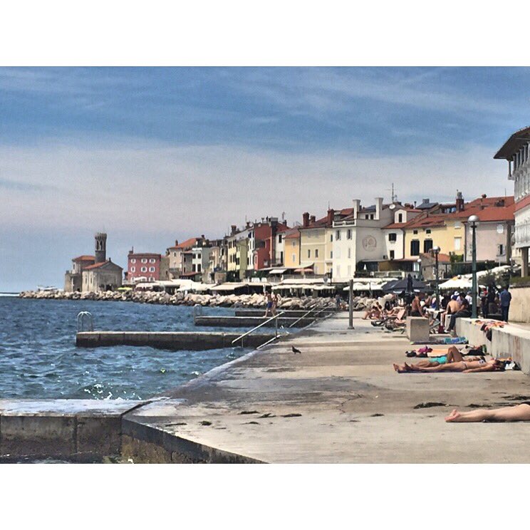 gavoo7's tweet photo. Thanks for having us Piran. See you in 2020 #piran https://t.co/FP2kVW72kC