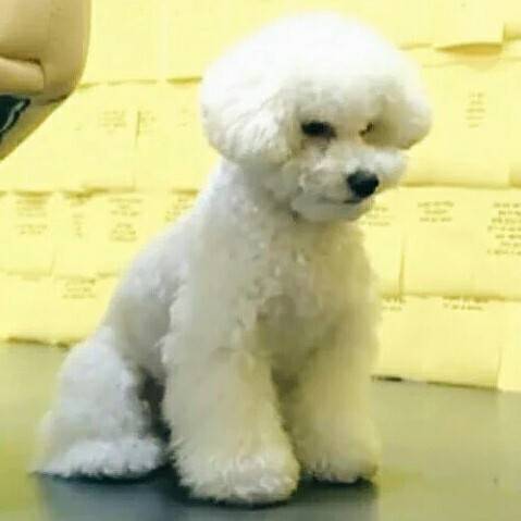 sehunspics's tweet photo. like father like son https://t.co/fbBzswS2Cc