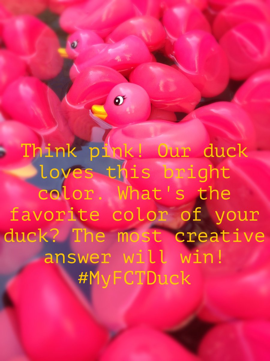 Lufthansa_FCT's tweet photo. Win a FCT #duck! #MyFCTDuck / Answer by 28.06.16 / Terms &amp; conditions apply: https://t.co/oMRYbKiv34 https://t.co/y7ZZD2XrB0