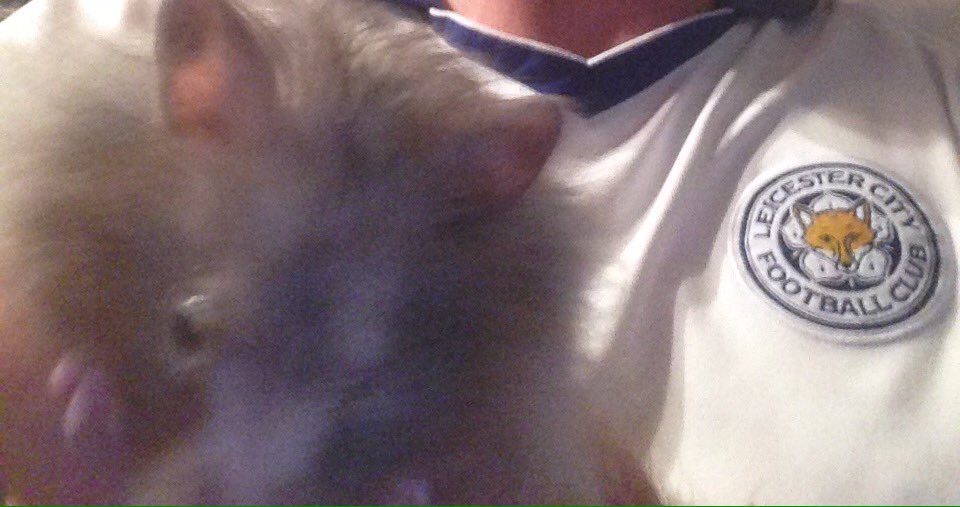 Jamie Vardy is staying at Leicester City FC, Whoop whoop, where's the party Jamie? Hx