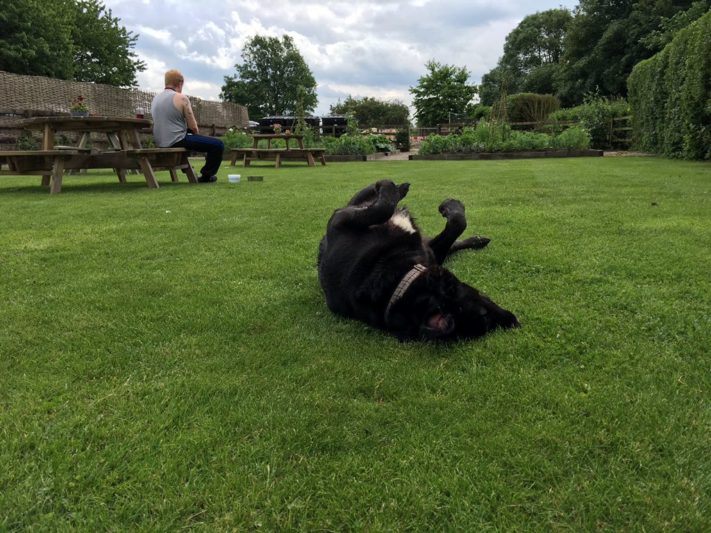 #Relax and enjoy the sun in the garden after a long walk #alicehawthornwalks #nunmonkton #york