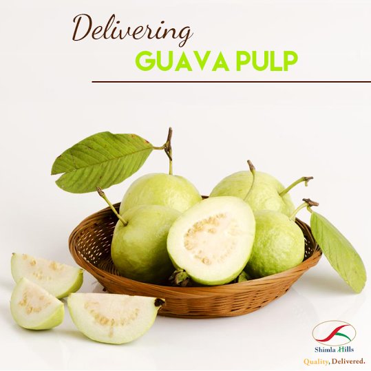 Shimla_Hills's tweet photo. #ShimlaHills deliver premium quality #GuavaPulp .Visit : https://t.co/W70ppMttuZ @lisa_alba @health_tips_s @IlchiLee https://t.co/IgofC5tYsk