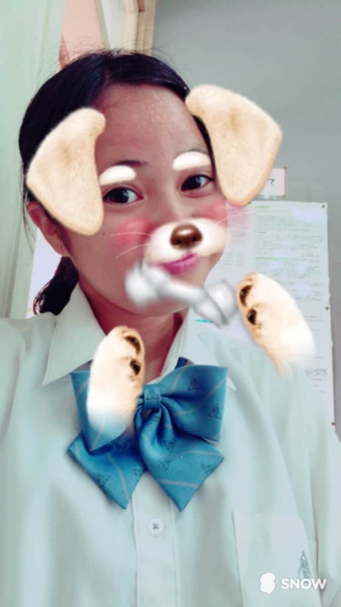 bot81983758's tweet photo. スノウまほちゃん。🐶
勉強の合間にどうぞ。
癒しですね。

#疲れも吹っ飛ぶ１枚 https://t.co/ktdkZjsR5T
