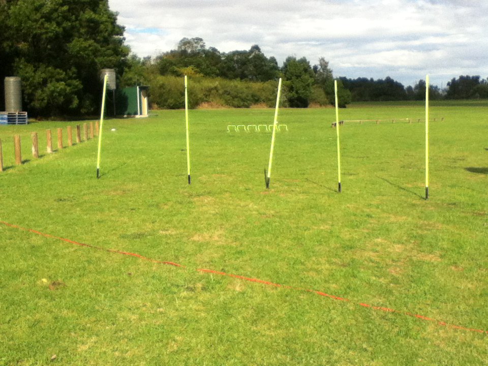 WindsorBootcamp's tweet photo. #agility training at #Windsor #bootcamp in the #Hawkesbury area, #fieldofdreamsfitness https://t.co/FLzbONl9Km