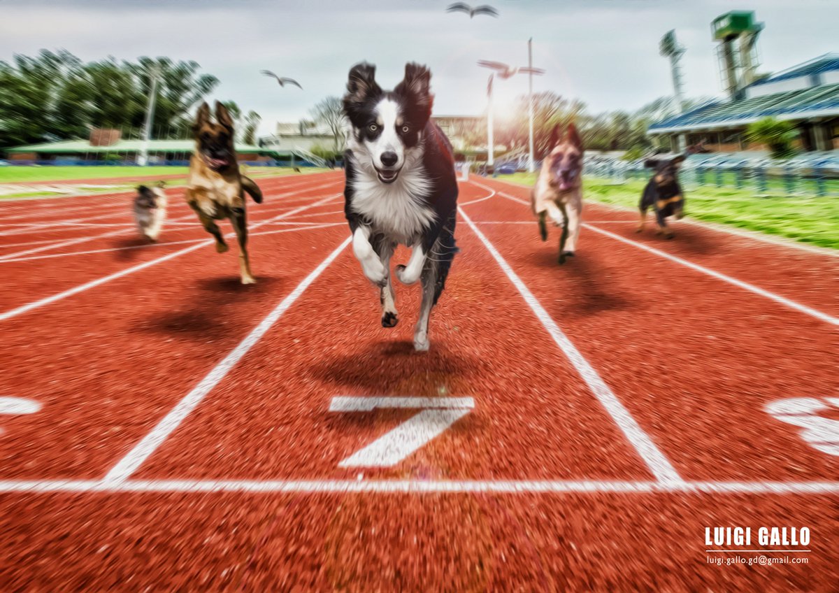 LuigiGalloGD's tweet photo. @PshopCreative My photomanipulation
https://t.co/51rL0jSZQl https://t.co/ZsRsEIsJg3