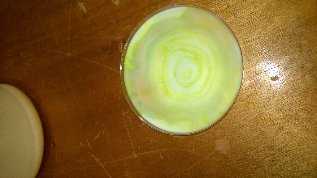 ChemSocOutreach's tweet photo. Some top-quality milk art on offer, in between dry ice shows! @TBB_WMidlands https://t.co/esxAEpe5Km