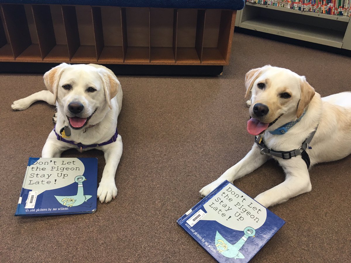 WESpolarbears's tweet photo. Even our #udservicedogs read! #WEsummer #dontletthepuppiesstayuplate https://t.co/KOyjj7LLUg