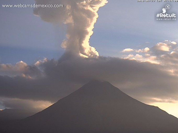 Ver imagen en Twitter Ver imagen en Twitter