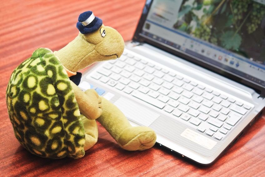 TerrapinTechUMD's tweet photo. There's nothing slower than a turtle's computer with a virus! Get our help @ Terrapin Tech in McKeldin M-F 8:30-4:30 https://t.co/xrWpV5q0Ta