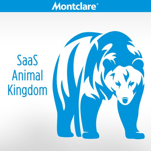 montclaregroup's tweet image. Bears operate globally. More than 20% #SaaS, they require organic innovation &amp;amp; infrastructure. EX: @Adobe, @Citrix
