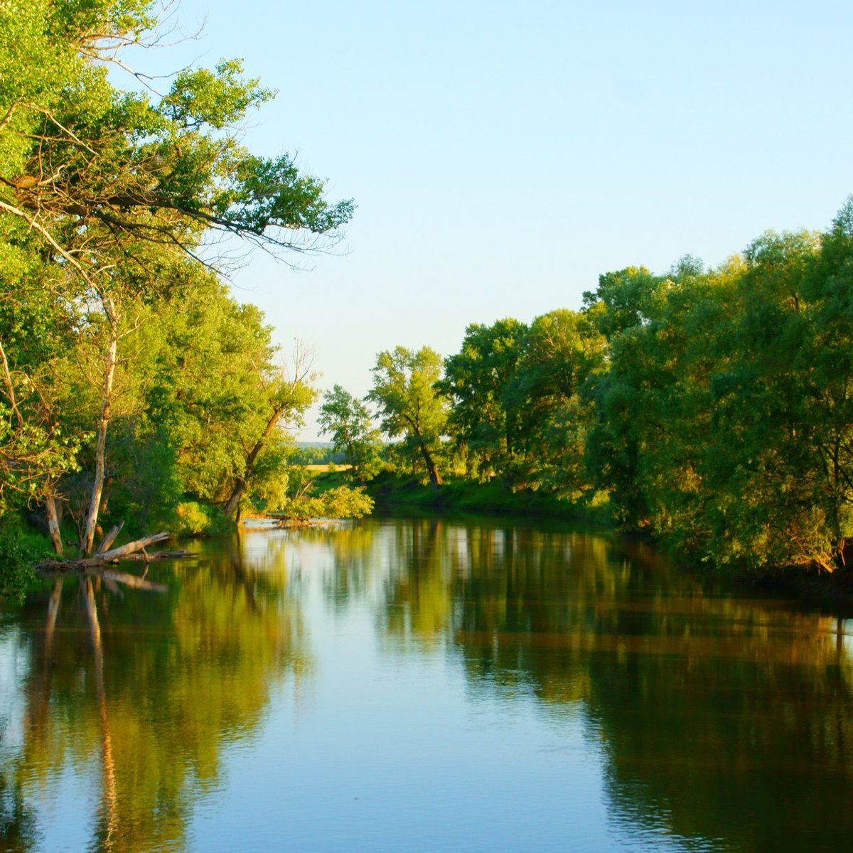 Vissify Co. tweet media