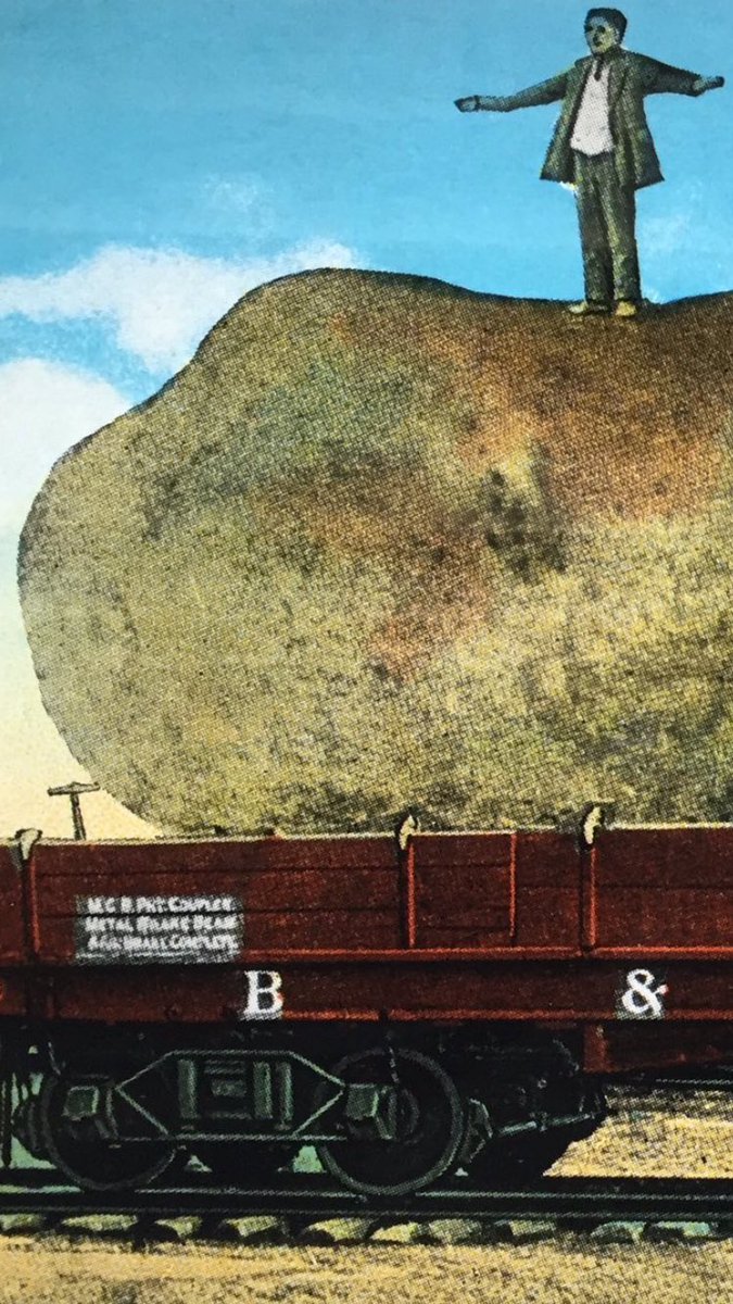 owen corrigan tweet media