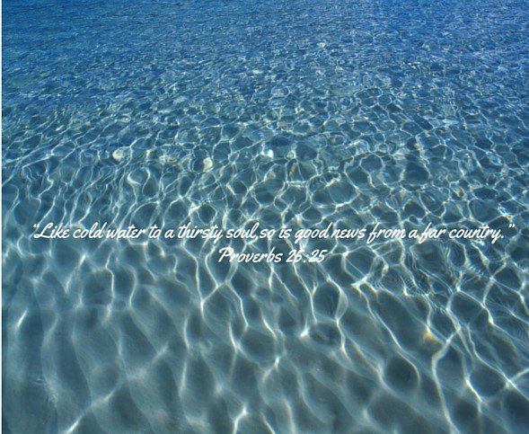 CreationJustice's tweet image. "Fishes need water to live, so do humans. #ProtectHumanDignity"
salsa4.salsalabs.com/o/50750/p/sals…