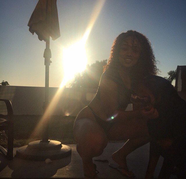 LustRush's tweet photo. #LustRush Sunsetting https://t.co/5oHFM1jRSm
