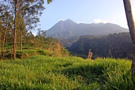 Leopold Kennedy Adam tweet media