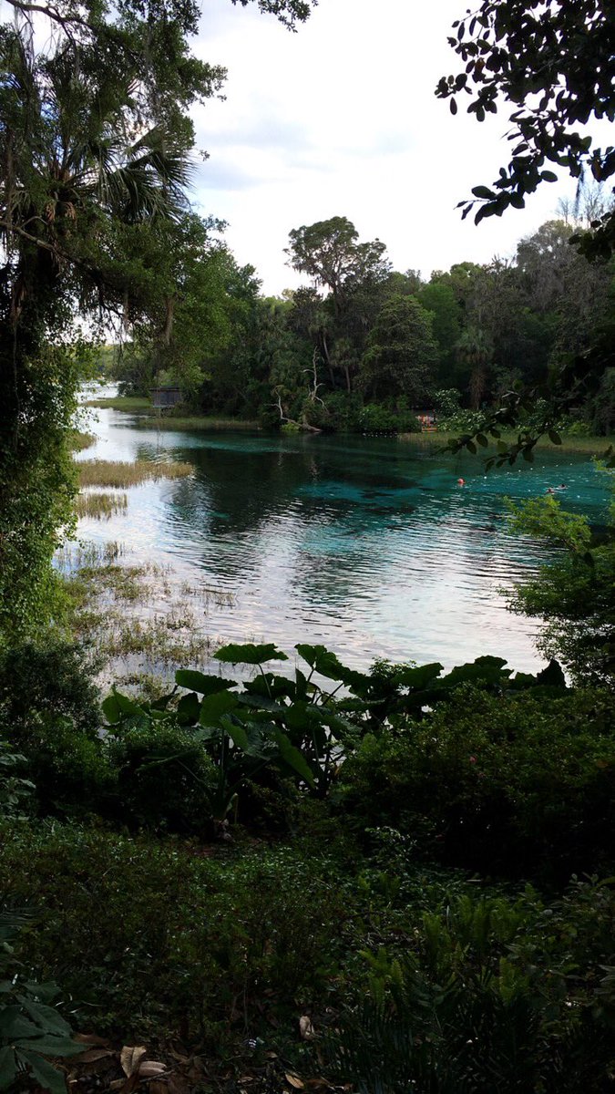 whitneyfoyer's tweet photo. God's creation is amazing. Missin Florida right now ☀️ https://t.co/IsuhIn0U3H