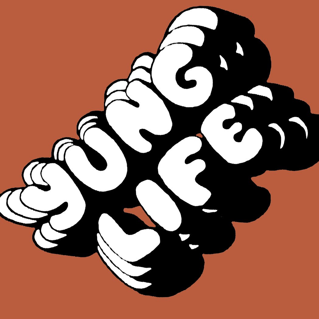 YUNG LIFE tweet media