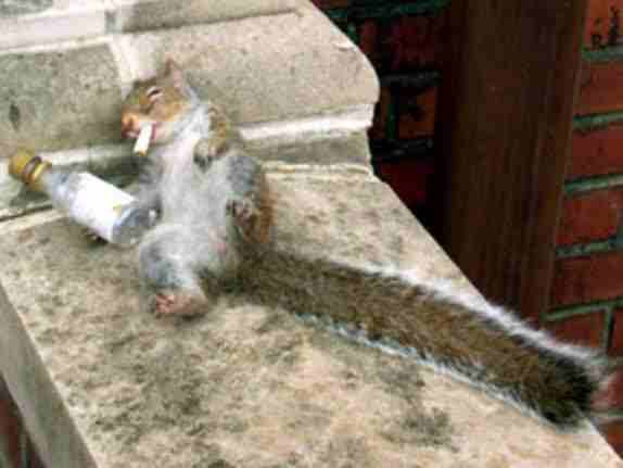 savecyril tweet picture