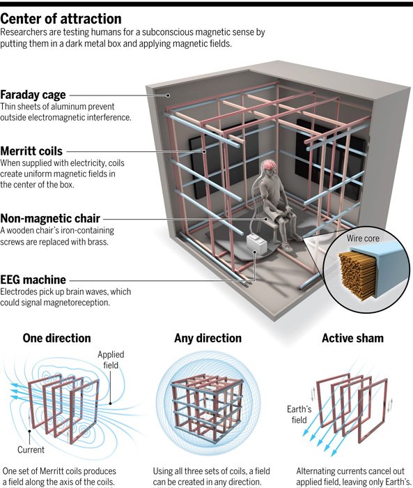 cbickel27's tweet image. New graphic for Science...

sciencemag.org/news/2016/06/m…

#sciart @sciencemagazine #magnetoreception
