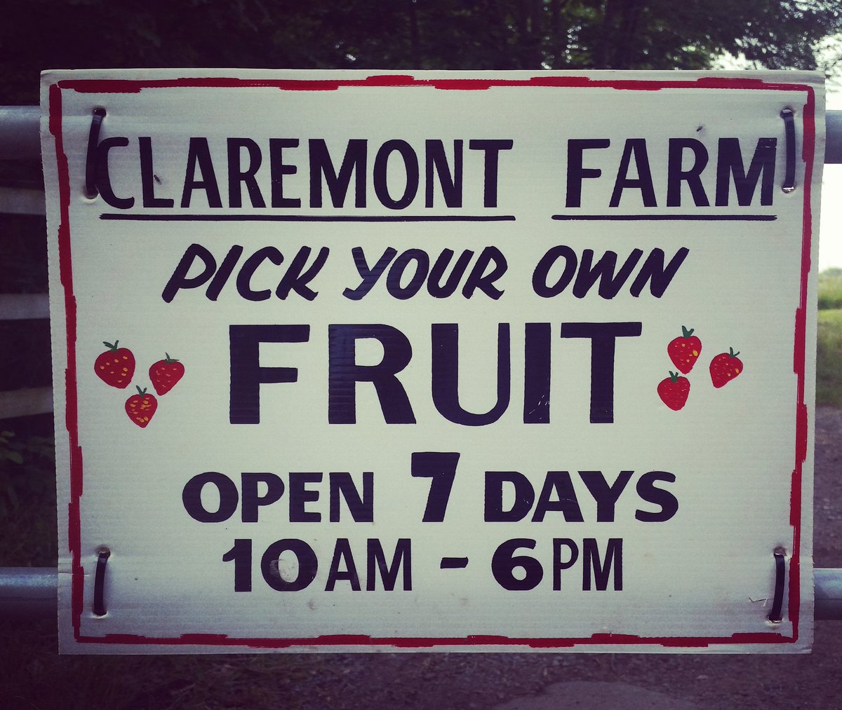 ClaremontFarm's tweet photo. @EverettTeam https://t.co/uoHMwxGtYr